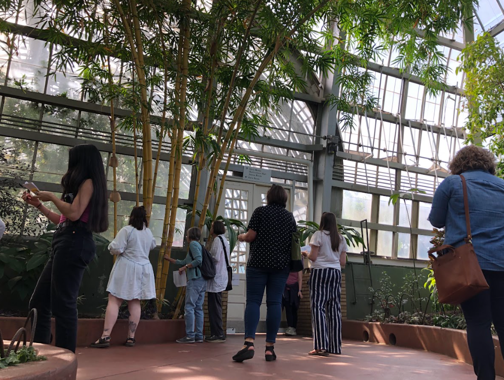 A small group of people mill about a greenhouse with tall windows and trees inside around them. They are all faced away from the camera looking at the plants.